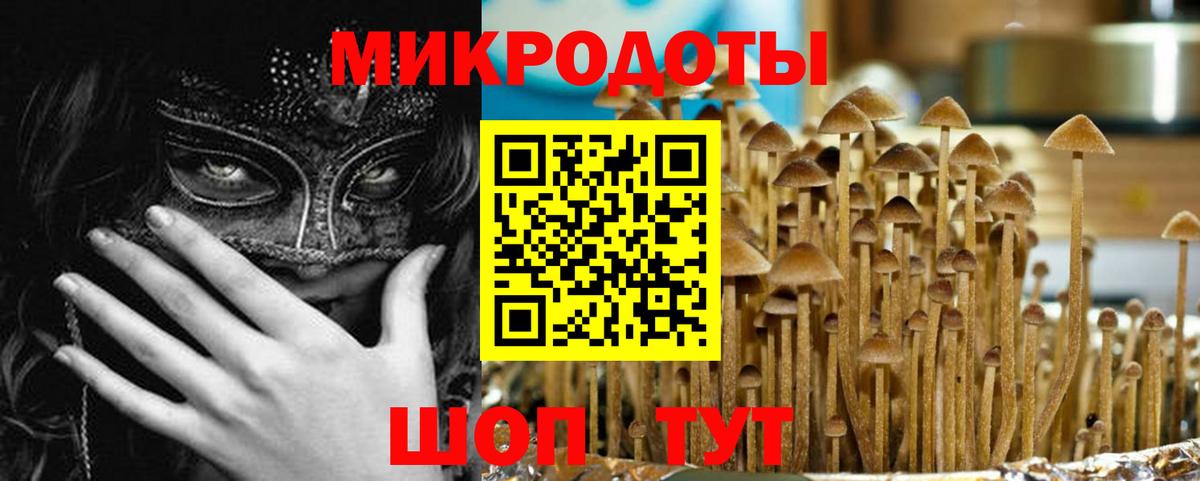 Нововоронеж  Псилоцибиновые грибы Psilocybe  Вход с VPN 